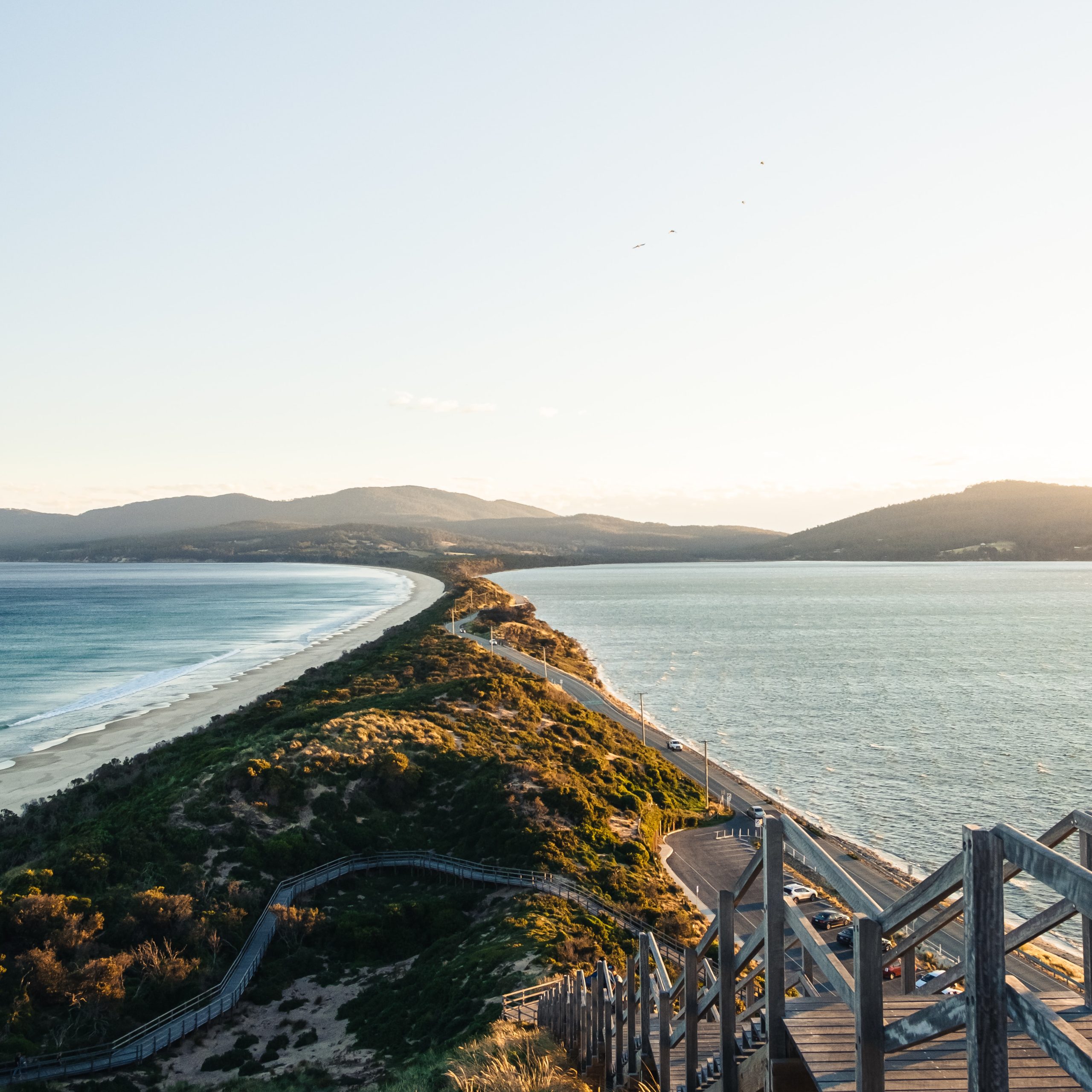 The Neck, Bruny Island